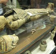 Image result for Root Ancient Egyptian Mummies