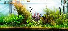 vasche aperte per acquari realizzazione di acquari su misura roma aquarium vasche aperte per acquari realizzazione di acquari su misura roma aquarium