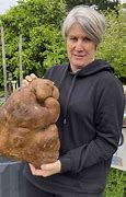 Image result for Biggest Potato in the Whole World