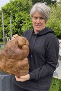 Image result for Largest Potato Head