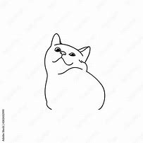 Image result for Funny Cat Smile Meme