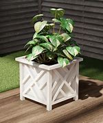 Image result for Square Planter Pots