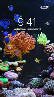Image result for Live iPhone Screensavers