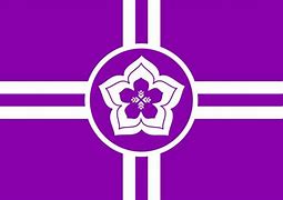 Image result for CUFI Flag