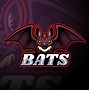 Image result for Bat Wings Logo