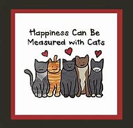 Image result for Happiness Can Be Measured with Cats