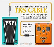 Image result for Stereo Expression Pedal