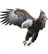 Image result for Bald Eagle Flying Transparent
