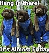 Image result for Funny Work Meme Hang in There