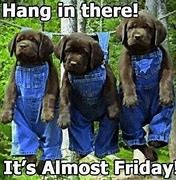 Image result for Rough Week Finally Friday Meme