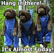 Image result for Hang in There Work Meme
