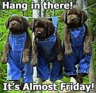 Image result for Hang in There Angela Meme