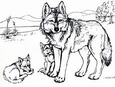desenho de lobos lobos desenhos para colorir desenho de lobos lobos desenhos para colorir