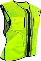 Image result for Fall Protection Harness