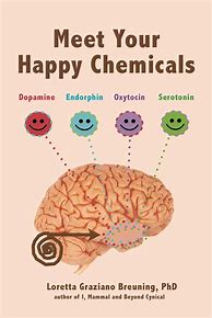 Image result for Happy Brain Chemicals Meme