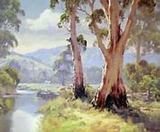 Image result for Australian Landscapes Canvas Prints