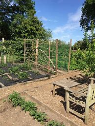 Image result for 25 Square Meters Allotment Rod