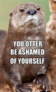 Image result for Otter 841 Memes