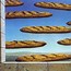 Image result for Rene Magritte Raining Men
