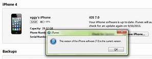 Image result for What Does Waiting for Activation Mean iPhone