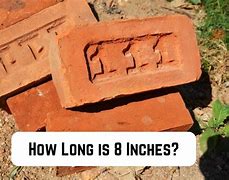 Image result for Stuff That Is 8 Inches