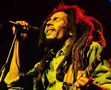 Image result for Bob Marley in Concert