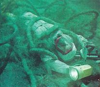 Image result for Spooky Shipwrecks