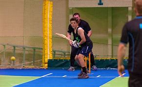 Image result for Inside Cricket