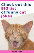 Image result for Corny Cat Jokes