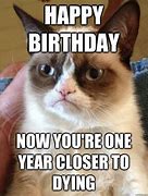 Image result for Birthday Funny Grumpy Cat Memes