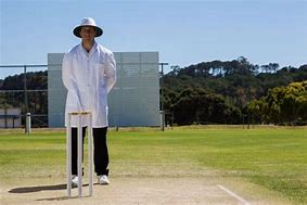 Image result for Cricket Umpire