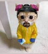 Image result for Walter White with Cat Ear Headphones