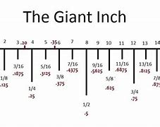 Image result for 14 Inches to Scale