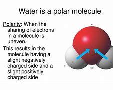 Image result for water polar molecule