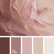 Image result for Light Pink and Yellow