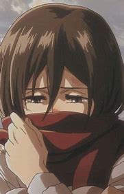 Image result for Mikasa X Male Reader