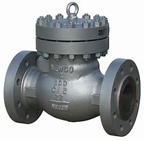 Image result for 4 Inch Sewer Check Valve