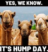Image result for Happy Hump Day Star Wars