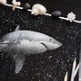 Image result for Great White Shark Digital Art