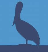 Image result for Pelican Icon