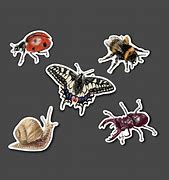 Image result for Insect Cartoon Stickers