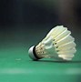 Image result for Badminton Field