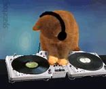 Image result for DJ Cat Meme