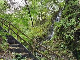 Image result for Gwaun Valley Waterfall Walk