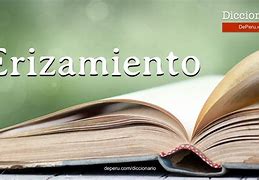 Image result for erizamidnto