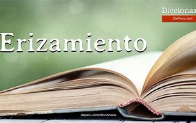 Image result for erizqmiento