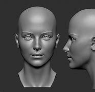 Image result for Face Reference Images for 3D Modeling
