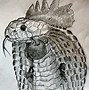 Image result for Cockatrice Heraldry