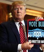 Image result for Vote Blue No Matter Who Meme