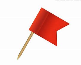 Image result for Red Flag Pin